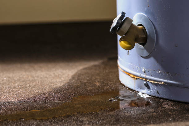 Best Flood damage cleanup  in White Hall, WV