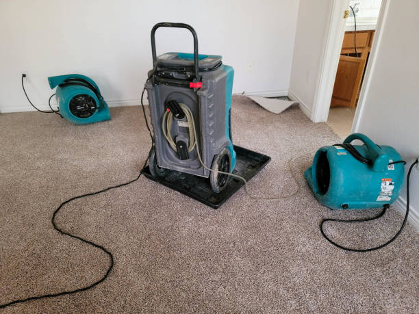 Best Water damage restoration near me  in White Hall, WV