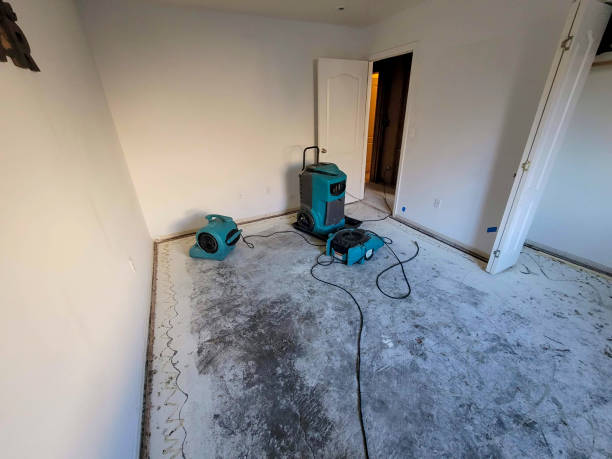 Best Flood restoration services  in White Hall, WV