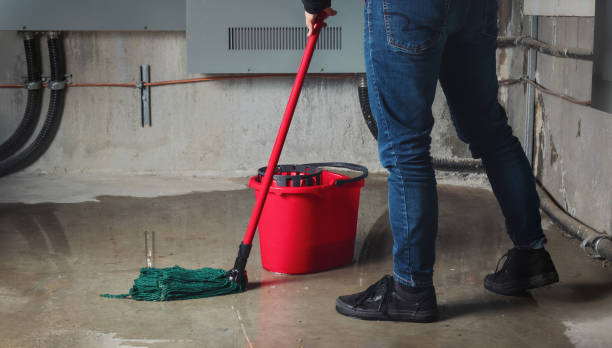 Best 24-hour water damage restoration  in White Hall, WV