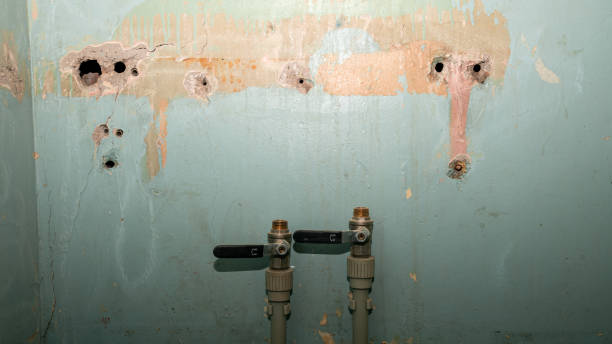 Best 24/7 water damage repair  in White Hall, WV