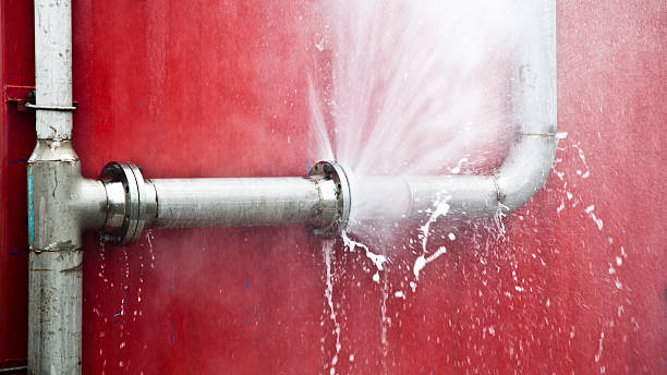 Best Basement water damage restoration  in White Hall, WV
